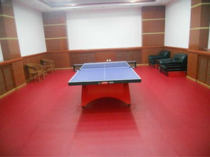 羽毛球?qū)I(yè)運(yùn)動(dòng)地板 羽毛球?qū)I(yè)地板 羽毛球地板