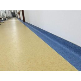 海南塑膠地板公司、海南塑膠地板、君衡(查看)