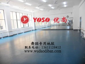 專業舞蹈塑膠地板 保護、減震、排壓與批發的全方位解析